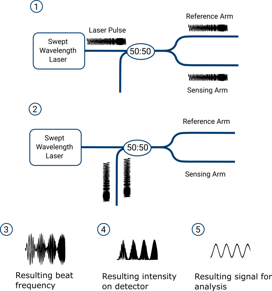 Optical Frequency Domain Reflectometry (OFDR) Diagram