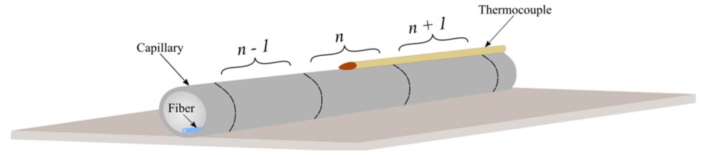 Distributed Fiber Optic Temperature Sensing